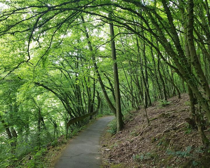 Zur Weiher Schleife